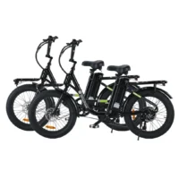 isinwheel U7 Cargo Bike product image view 3