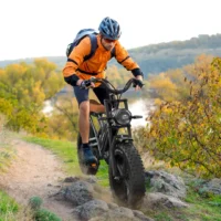 JANSNO X50 Fat Tire Electric Bike for Adults,, 48V 14Ah Removable Battery product image view 9