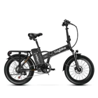 Euybike F6 Long Range Fat Tire Electric Bike Black product image view 1
