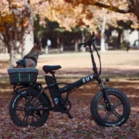 Euybike F6 Long Range Fat Tire Electric Bike product image view 3