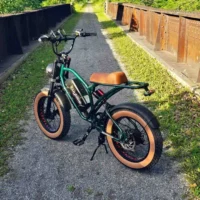 Euybike S4 Long Range Moped-Style Electric Bike Green product image view 10
