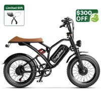 Euybike S4 Pro Max Dual Ebike product image view 12