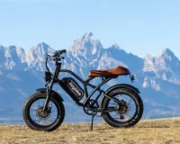 Euybike S4 Pro Max Dual Ebike product image view 11