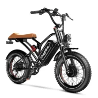 Euybike S4 Pro Max Dual Ebike product image view 1