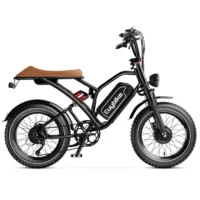 Euybike S4 Pro Max Dual Ebike product image view 15