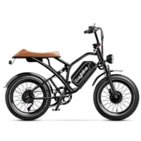 Euybike S4 Pro Max Dual Ebike product image view 10