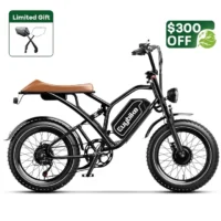 Euybike S4 Pro Max Dual Ebike product image view 8