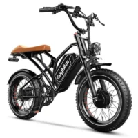 Euybike S4 Pro Max Dual Ebike product image view 9
