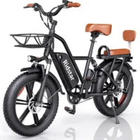 Ridstar® FM001 2-Seater Fat Tire Electric Bike product image view 1