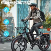 Ridstar® FM001 2-Seater Fat Tire Electric Bike product image view 4