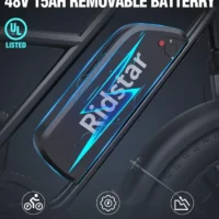 Ridstar® FM001 2-Seater Fat Tire Electric Bike product image view 2