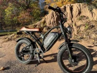 Euybike S4 Pro Max Dual Ebike product image view 3