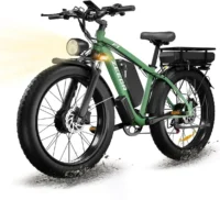 Bluvall Zeegr F1 Electric Bike Series product image view 7