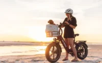 Heybike Ranger S Folding Electric Bike product image view 13