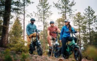 Heybike Tyson Full Suspension Ebike product image view 12