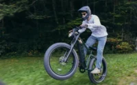 Heybike Brawn Long-range Ebike product image view 8