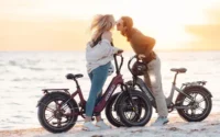 Heybike Ranger S Folding Electric Bike product image view 11