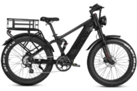 Vitilan T7 Full Suspension Mountain E-bike product image view 33