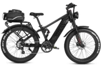 Vitilan T7 Full Suspension Mountain E-bike product image view 30