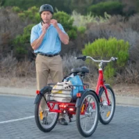 MG708 - HERA Urban Electric Tricycle product image view 3