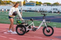 Bison PRO - Emojo Bike product image view 11