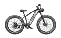 Heybike Brawn Long-range Ebike Black product image view 1