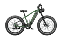 Heybike Brawn Long-range Ebike Green product image view 5