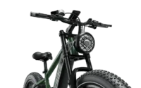 Heybike Brawn Long-range Ebike Green product image view 3