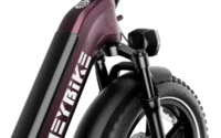 Heybike Ranger S Folding Electric Bike product image view 5