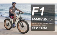 Bluvall Zeegr F1 Electric Bike Series product image view 15