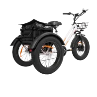 MG1703-ZEUS Fat Tire Electric Trike product image view 3