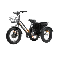MG1703-ZEUS Fat Tire Electric Trike product image view 4