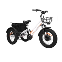 MG1703-ZEUS Fat Tire Electric Trike product image view 5