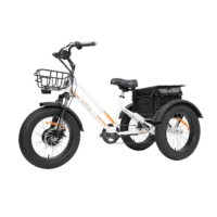 MG1703-ZEUS Fat Tire Electric Trike product image view 6