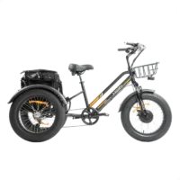 MG1703-ZEUS Fat Tire Electric Trike product image view 1