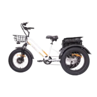 MG1703-ZEUS Fat Tire Electric Trike product image view 7