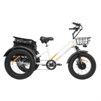 MG1703-ZEUS Fat Tire Electric Trike product image view 8