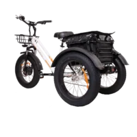 MG1703-ZEUS Fat Tire Electric Trike product image view 9