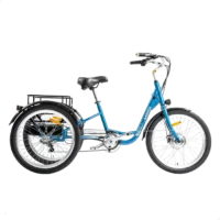 MG708 - HERA Urban Electric Tricycle product image view 1