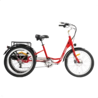 MG708 - HERA Urban Electric Tricycle product image view 6