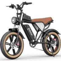 Electric bike Ridstar Q20 Luxe, 48V, (), 20Ah battery, retro style product image view 2