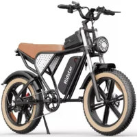 Electric bike Ridstar Q20 Luxe, 48V, (), 20Ah battery, retro style product image view 1