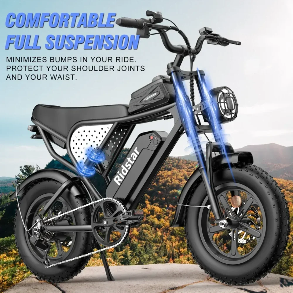 RIDSTAR Q16 Fat Tire Electric Bicycle product image view 1