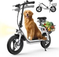 VARUN P2 Electric Scooter for Adults product image view 1