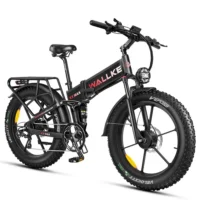 WALLKE X3 Max Folding Electric Bike product image view 1
