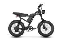 RIDING TIME’S Z8 PRO Electric Bike product image view 7