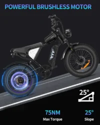 YVY C20 Mini 20" Electric Bike (formerly Ridstar Q20 Lite ) product image view 5