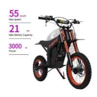 FREEBOY Y01 Off-Road Electric Bike product image view 4