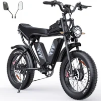 YVY C20 Max Electric Bike (formerly Ridstar Q20 PRO ) product image view 1