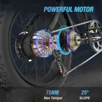 YVY C20 Mini 20" Electric Bike (formerly Ridstar Q20 Lite ) product image view 4